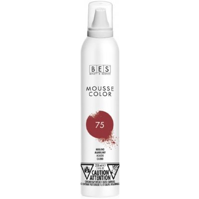 Bes barevné pěnové tužidlo 75 mahagonová 200 ml