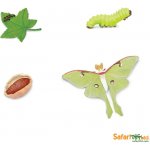 Safari Ltd. Životní cyklus Můra – Zboží Mobilmania