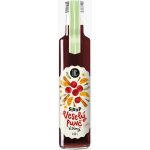 KOLDOKOL Veselý punč sirup 250 ml – Hledejceny.cz