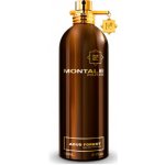 Montale Aoud Forest parfémovaná voda unisex 100 ml – Hledejceny.cz