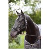 Ohlávky a vodítka pro koně Covalliero Ohlávka s fleecem Dexter černá