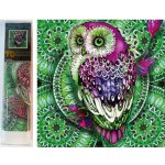 Norimpex Diamantové malování 7D Sova na zelené mandale 30 x 30 cm – Hledejceny.cz