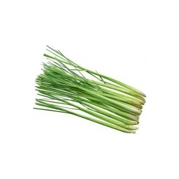 Citronová tráva (lemongrass) semena - 50-70 ks S0025