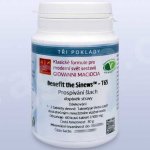 Giovanni Maciocia T65 Prospívání šlach 60 tablet – Hledejceny.cz