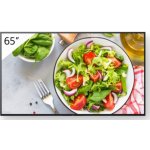 Sony FW-65BZ35L – Zboží Živě