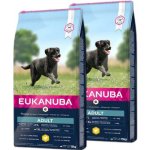 Eukanuba Adult Large Breed 2 x 15 kg – Hledejceny.cz