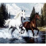 Norimpex diamantové malování 30 x 40 cm Dva koně klusající v jezeře – Sleviste.cz