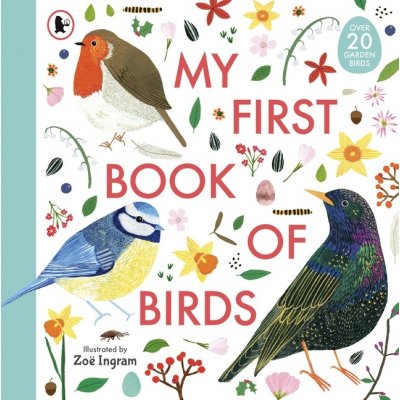 My First Book of Birds ptáci v angličtině encyklopedie pro děti – Zboží Mobilmania