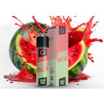 Infamous Liqonic Juicy Melon 10 ml – Zboží Mobilmania