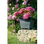 Plastia Květináč Begonia 50x50 cm antracit – Sleviste.cz
