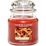 Yankee Candle Cinnamon Stick 623 g – Zbozi.Blesk.cz