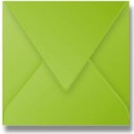 Obálka CF 165x165mm zelená 120g 20ks – Zboží Živě