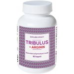 Naturvita Tribulus + Arginin 90 kapslí – Hledejceny.cz