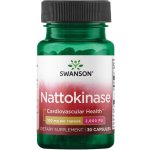 Swanson Nattokinase 100 mg 30 kapslí – Hledejceny.cz