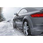 Dunlop Winter Sport 5 205/55 R16 91T | Zboží Auto