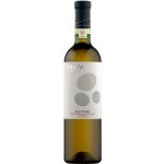 Thaya Sauvignon,VOC 2023 12,5% 0,75 l (holá láhev) – Hledejceny.cz