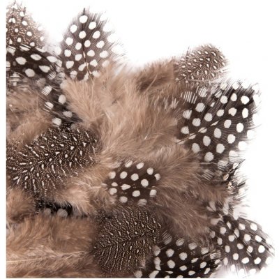 Křepelčí pírka přírodní 5 - 12 cm / 5 g – Zboží Dáma