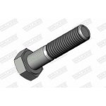 WALKER WA 80624 – Hledejceny.cz