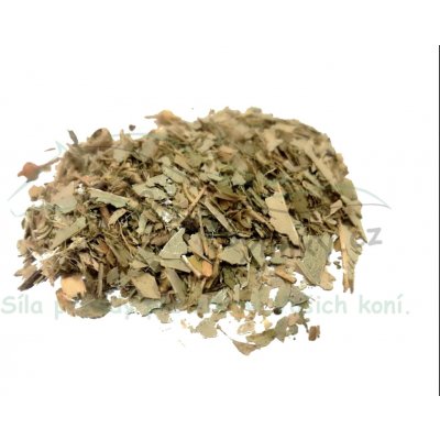 Koňské bylinky Eukalyptus list Eucalyptus globulus 1 kg – Hledejceny.cz