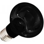 Komodo Moonlight Heat 50 W – Sleviste.cz