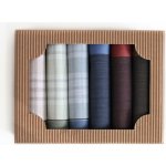 Ëtex Pánské látkové kapesníky v dárkové krabičce - 6 kusů M50-3 barevné – Zboží Mobilmania