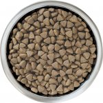 Pro Plan Large Puppy Athletic Healthy Start kuře 12 kg – Zboží Mobilmania