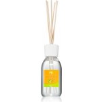 THD Unico Mandarin & Lime aroma difuzér s náplní 200 ml – Hledejceny.cz