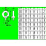 Šroub s okem pozink M 20 DIN580 – Zboží Mobilmania