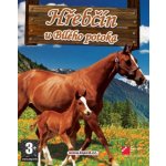 Hřebčín U Bílého potoka – Zboží Dáma