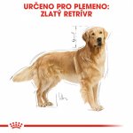 Royal Canin Zlatý retrívr Adult 12 kg – Zboží Mobilmania