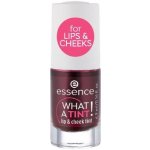 Essence WHAT A TINT! tekutá tvářenka a lesk na rty 4,9 ml – Zbozi.Blesk.cz