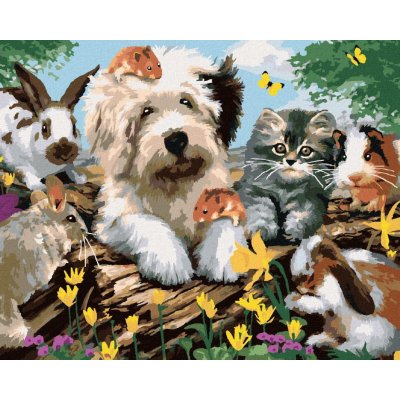 zuty Malování podle čísel Pes kočka a hlodavci na pařezu Howard Robinson 40 x 50 cm bez rámu a bez v 8596530060444 – Hledejceny.cz