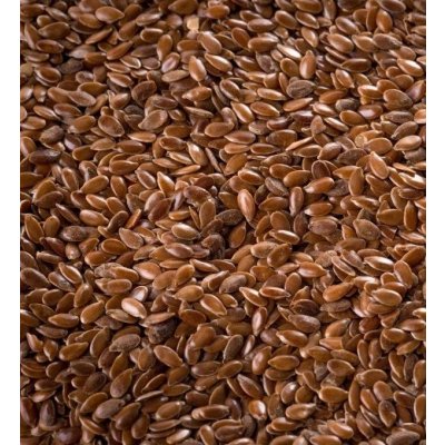 Kvídera Krmné směsi Lněné semínko vážené 1 kg – Zboží Dáma
