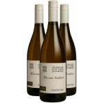 Loladze RKATSITELI+MTSVANE KVEVRI oranžové suché víno 12% 3 x 0,75 l (holá láhev) – Hledejceny.cz