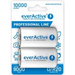 everActive professional line D 10000mAh 2ks EVHRL20-10000 – Zbozi.Blesk.cz