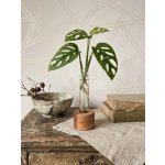 BotaneryLab ELEMENT Dub - stojan se zkumavkou na zakořeňování rostlin Motív: E – Hledejceny.cz