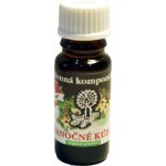 Slow natur vonný olej Kouzlo Vánoc 10 ml – Hledejceny.cz