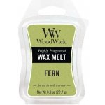 WoodWick vonný vosk do aroma lampy Kapradina 22,7 g – Zboží Dáma