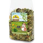 JR Farm Morče Feast 2,5 kg – Sleviste.cz