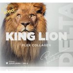 Delta King LIon Flex Collagen 8 000 mg rozpustný prášek zelené jablko 240 g – Hledejceny.cz