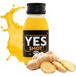 Dafit Ginger Shot For Imunnity 60 ml – Zbozi.Blesk.cz