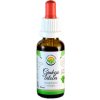 Doplněk stravy Salvia Paradise Ginkgo biloba tinktura bez alkoholu 30 ml