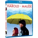 Harold a Maude BD