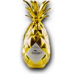 Pinaq Gold mini 17% 0,05 l (holá láhev) – Zboží Dáma