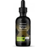 BrainMax Brainmax Chinese Skullcap Alcohol Free Tincture, 10:1 Extract, 100 ml – Hledejceny.cz