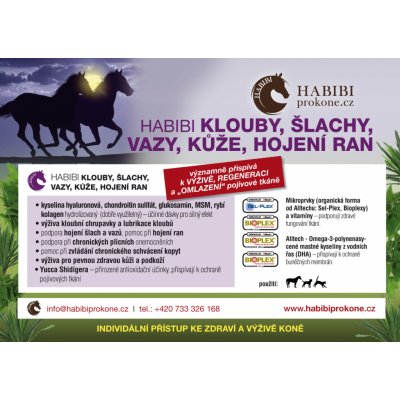 Habibi Klouby šlachy vazy hojení ran 3 kg – Zbozi.Blesk.cz