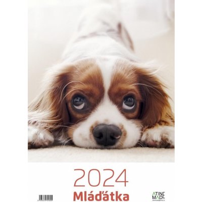 Mláďátka 297 x 420 mm 2024 – Zboží Mobilmania