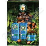 Herbal Essences Argan Oil hydratační šampon pro poškozené vlasy 350 ml + hydratační kondicionér pro poškozené vlasy 250 ml – Hledejceny.cz
