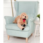 Dear Bear pejsek Golden Retriever 75 cm béžový Béžová 75 cm – Hledejceny.cz