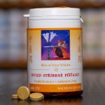 TCM Herbs Hvizd stříbrné píšťalky 100 tablet – Hledejceny.cz